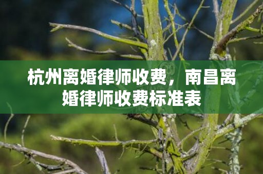 杭州离婚律师收费，南昌离婚律师收费标准表