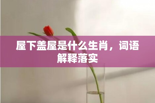 屋下盖屋是什么生肖，词语解释落实