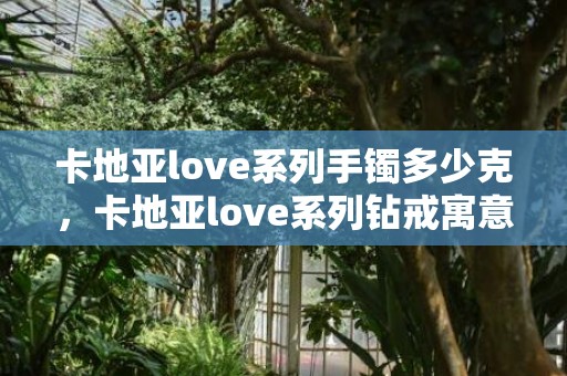 卡地亚love系列手镯多少克，卡地亚love系列钻戒寓意