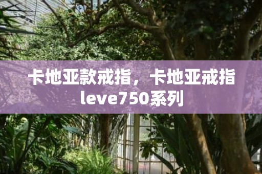 卡地亚款戒指，卡地亚戒指leve750系列