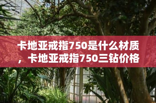 卡地亚戒指750是什么材质，卡地亚戒指750三钻价格