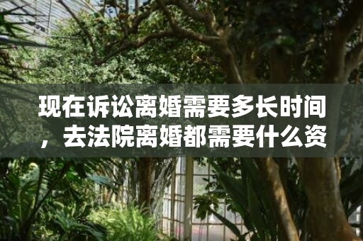 现在诉讼离婚需要多长时间，去法院离婚都需要什么资料