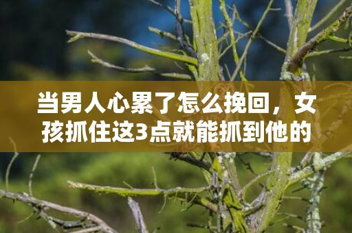 当男人心累了怎么挽回，女孩抓住这3点就能抓到他的心