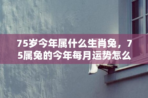 75岁今年属什么生肖兔，75属兔的今年每月运势怎么样 单身的人会脱单吗