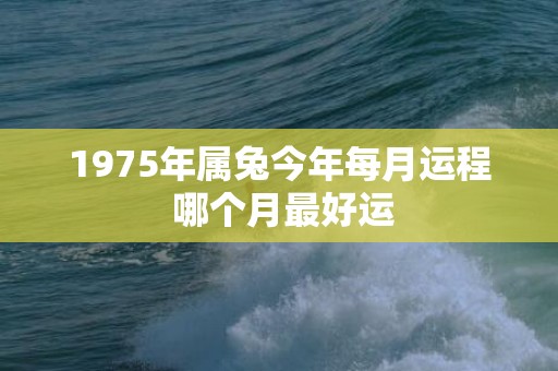 1975年属兔今年每月运程 哪个月最好运