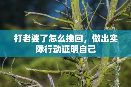 打老婆了怎么挽回，做出实际行动证明自己