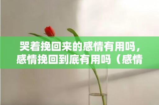 哭着挽回来的感情有用吗，感情挽回到底有用吗（感情挽回5步法）