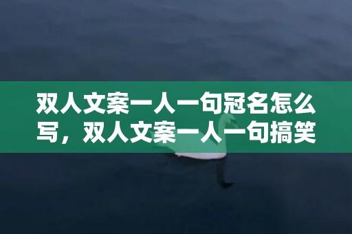 双人文案一人一句冠名怎么写，双人文案一人一句搞笑