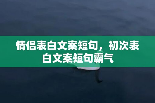 情侣表白文案短句，初次表白文案短句霸气