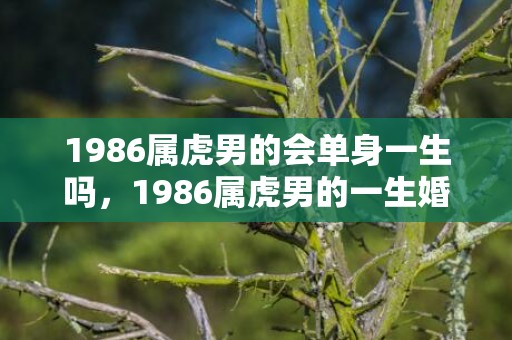 1986属虎男的会单身一生吗，1986属虎男的一生婚姻和命运 健康状况怎么样