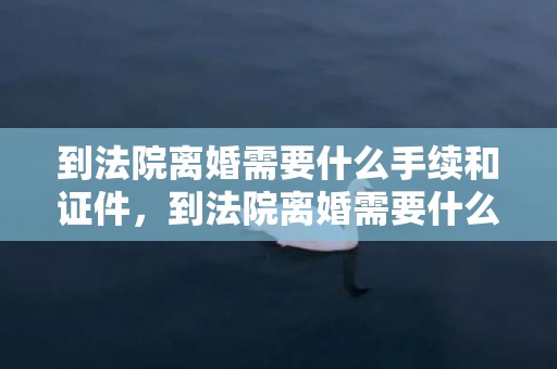 到法院离婚需要什么手续和证件，到法院离婚需要什么手续费