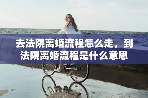 去法院离婚流程怎么走，到法院离婚流程是什么意思