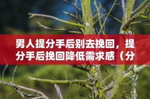 男人提分手后别去挽回，提分手后挽回降低需求感（分手后挽回就是可以减少联系的方式可以吗）