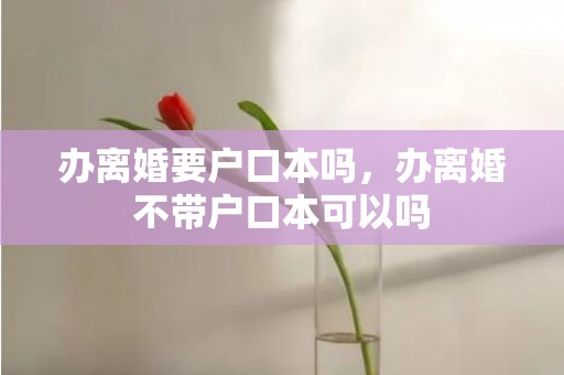 办离婚要户口本吗，办离婚不带户口本可以吗