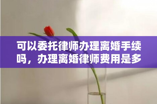 可以委托律师办理离婚手续吗，办理离婚律师费用是多少