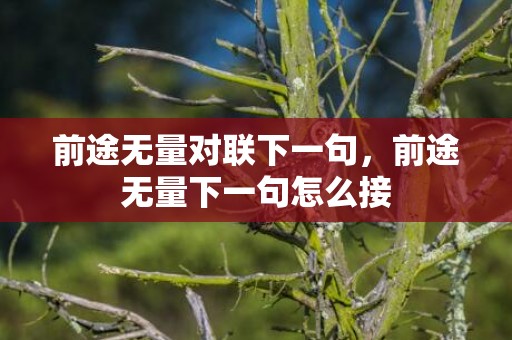 前途无量对联下一句，前途无量下一句怎么接