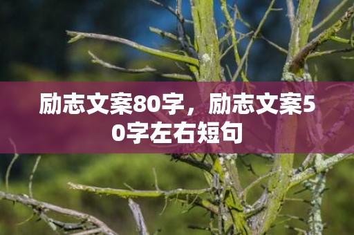 励志文案80字，励志文案50字左右短句