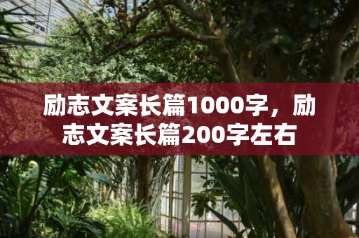 励志文案长篇1000字，励志文案长篇200字左右