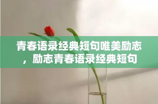 青春语录经典短句唯美励志，励志青春语录经典短句