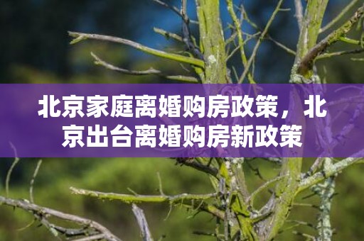 北京家庭离婚购房政策，北京出台离婚购房新政策