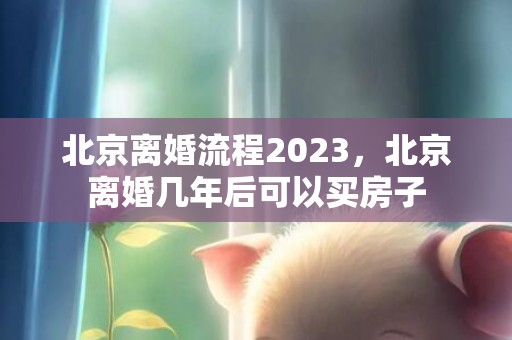 北京离婚流程2023，北京离婚几年后可以买房子