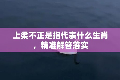 上梁不正是指代表什么生肖，精准解答落实