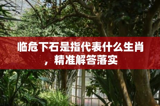 临危下石是指代表什么生肖，精准解答落实