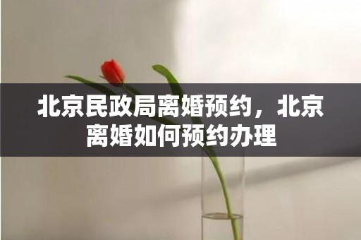 北京民政局离婚预约，北京离婚如何预约办理