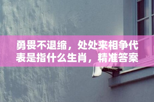 勇畏不退缩，处处来相争代表是指什么生肖，精准答案落实