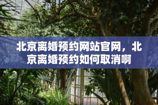 北京离婚预约网站官网，北京离婚预约如何取消啊