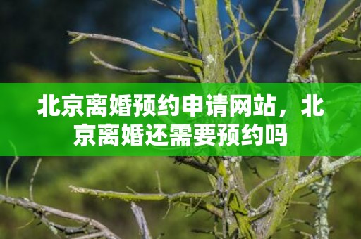 北京离婚预约申请网站，北京离婚还需要预约吗