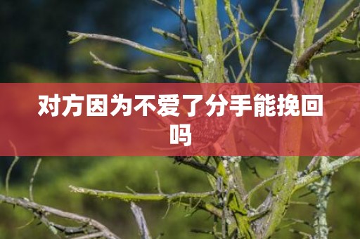 对方因为不爱了分手能挽回吗