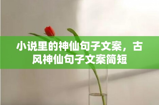 小说里的神仙句子文案，古风神仙句子文案简短