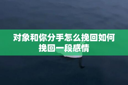 对象和你分手怎么挽回如何挽回一段感情