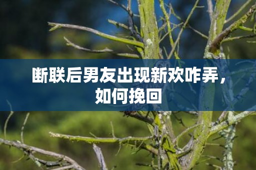 断联后男友出现新欢咋弄，如何挽回