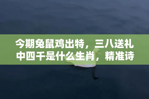 今期兔鼠鸡出特，三八送礼中四千是什么生肖，精准诗词落实