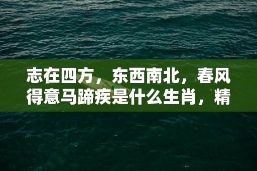 志在四方，东西南北，春风得意马蹄疾是什么生肖，精准诗词落实