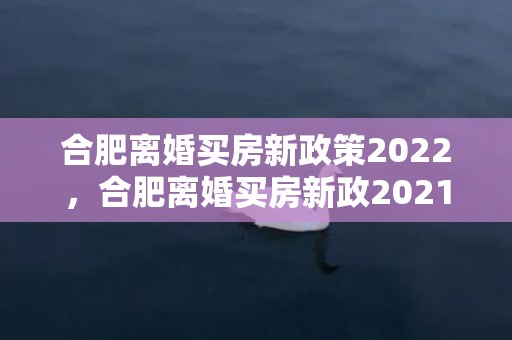 合肥离婚买房新政策2022，合肥离婚买房新政2021规定