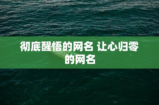 彻底醒悟的网名 让心归零的网名