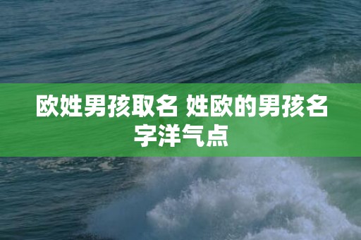 欧姓男孩取名 姓欧的男孩名字洋气点