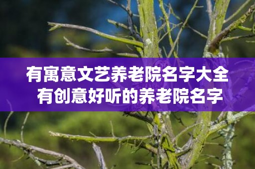 有寓意文艺养老院名字大全 有创意好听的养老院名字大全(有寓意文艺养老院名字)