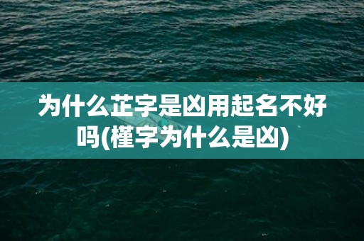 为什么芷字是凶用起名不好吗(槿字为什么是凶)