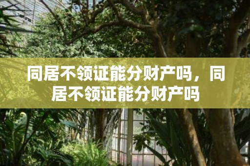 同居不领证能分财产吗，同居不领证能分财产吗