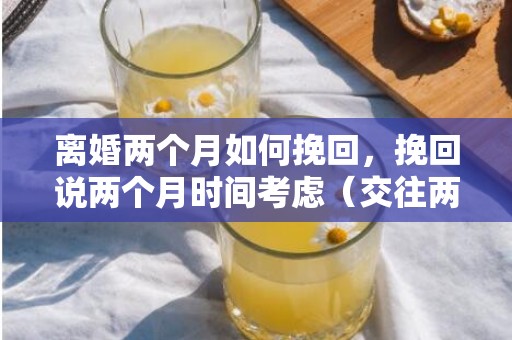 离婚两个月如何挽回，挽回说两个月时间考虑（交往两个月分手怎么挽回）