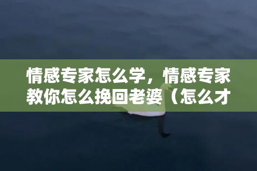 情感专家怎么学，情感专家教你怎么挽回老婆（怎么才能挽回老婆）