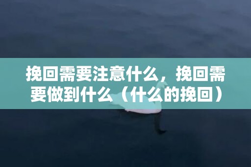 挽回需要注意什么，挽回需要做到什么（什么的挽回）