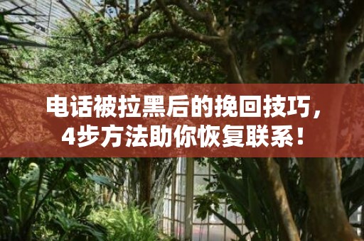 电话被拉黑后的挽回技巧，4步方法助你恢复联系！