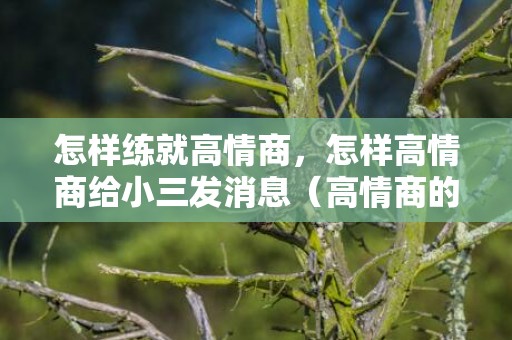 怎样练就高情商，怎样高情商给小三发消息（高情商的给小三发信息）