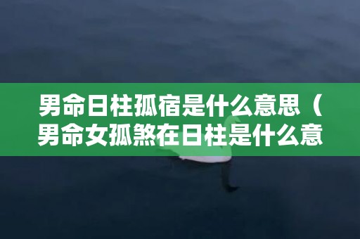 男命日柱孤宿是什么意思（男命女孤煞在日柱是什么意思如何查询孤鸾煞）