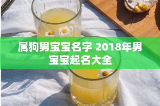 属狗男宝宝名字 2018年男宝宝起名大全